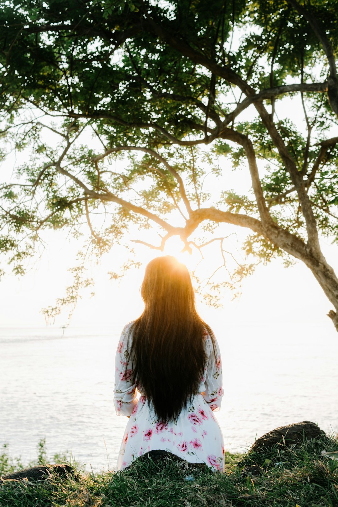 woman-sitting-under-a-tree-at-sunset-tl5k5xdvpuw